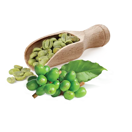Café Verde